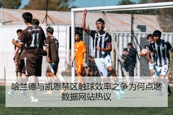 哈兰德与凯恩禁区触球效率之争为何点燃数据网站热议